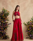 Aneeka Sharara Set