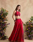 Aneeka Sharara Set
