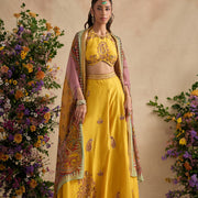 Aneeka Sharara Set