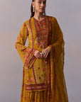 Anaisha Sharara Set