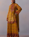 Anaisha Sharara Set