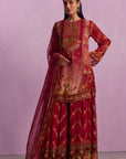 Anaisha Sharara Set