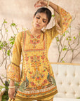 Ahaana Gharara Set
